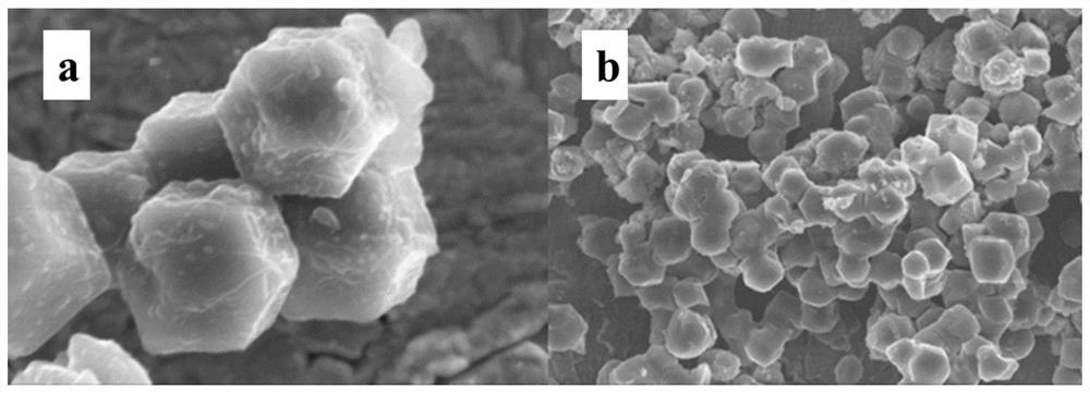 A polypyrrole-coated sulfur-doped cobalt-based carbon nanocage material, preparation method and application thereof