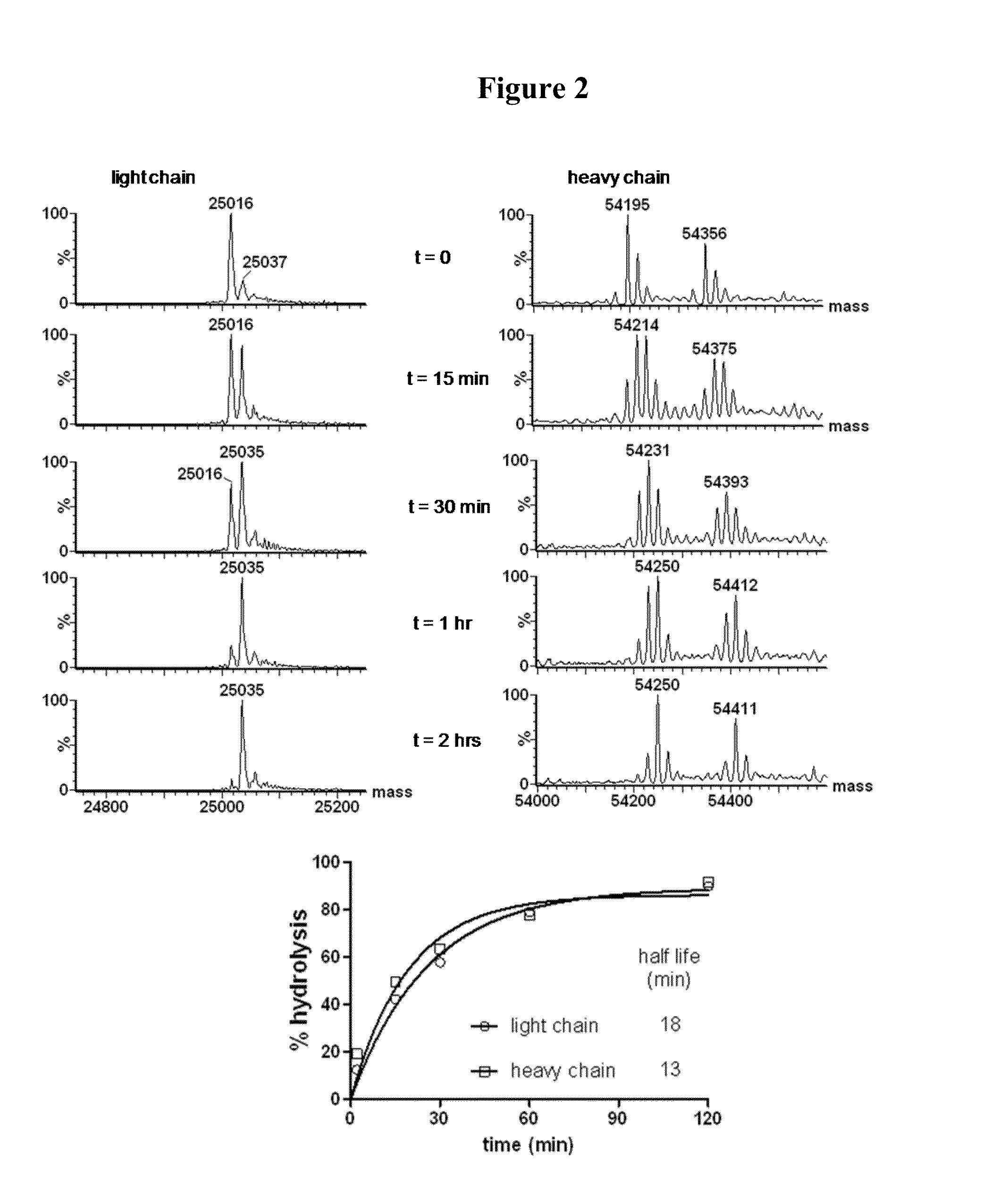 Self-stabilizing linker conjugates