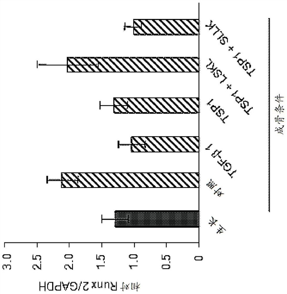 Oxadiazoles and thiadiazoles as TGF-beta inhibitors