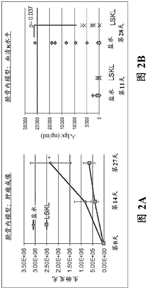 Oxadiazoles and thiadiazoles as TGF-beta inhibitors