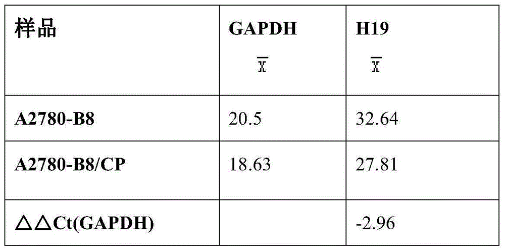 Correlation between long noncoding RNA (ribonucleic acid) H19 and drug resistance of cancers to platinum chemotherapeutics