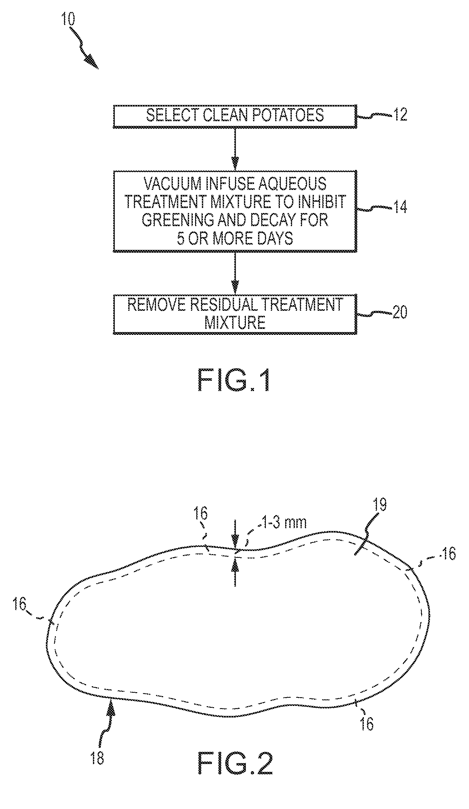 Potato with Enhanced Resistance to Greening and Decay and Infusion Process to Obtain Such Resistance