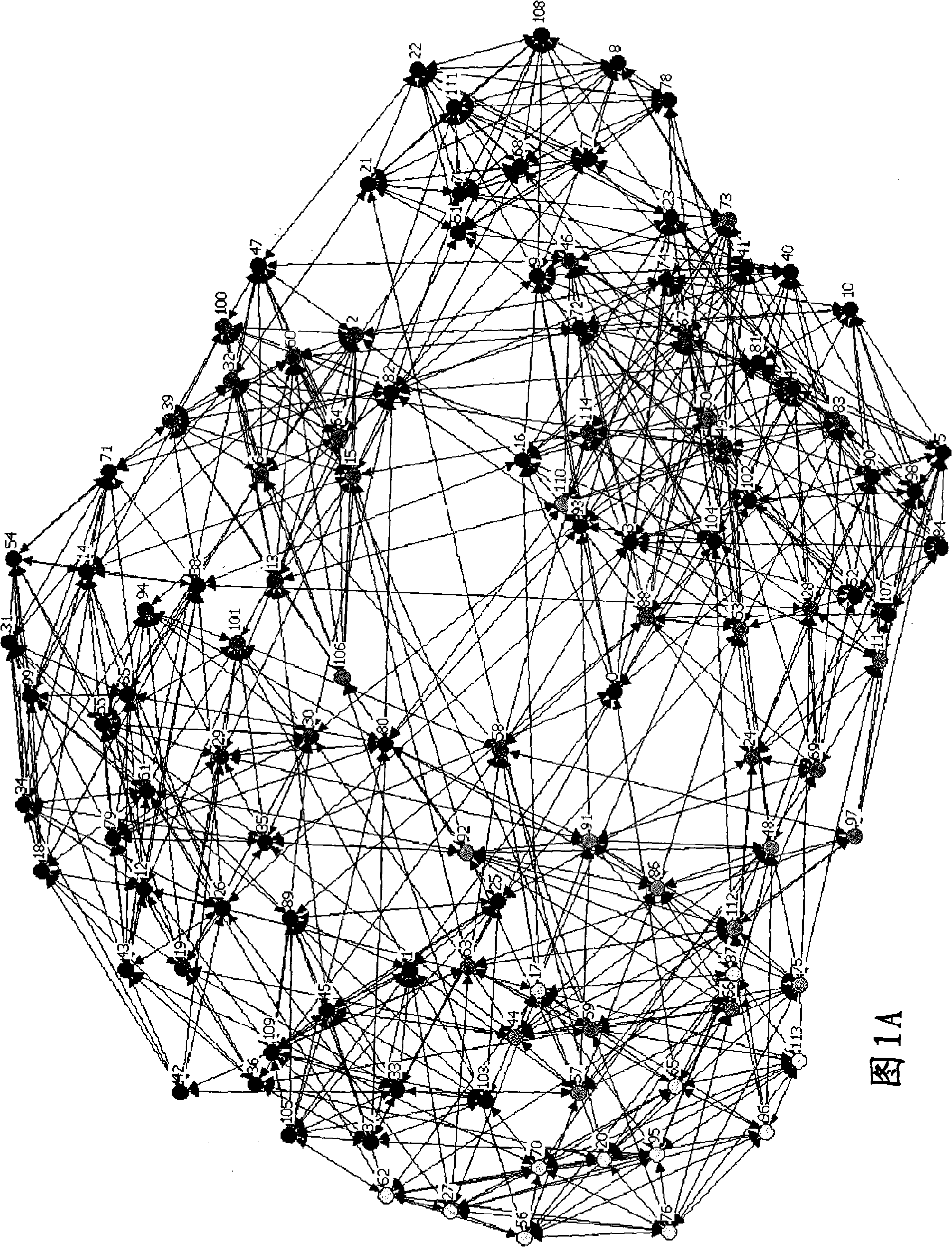 System and method for roughening picture