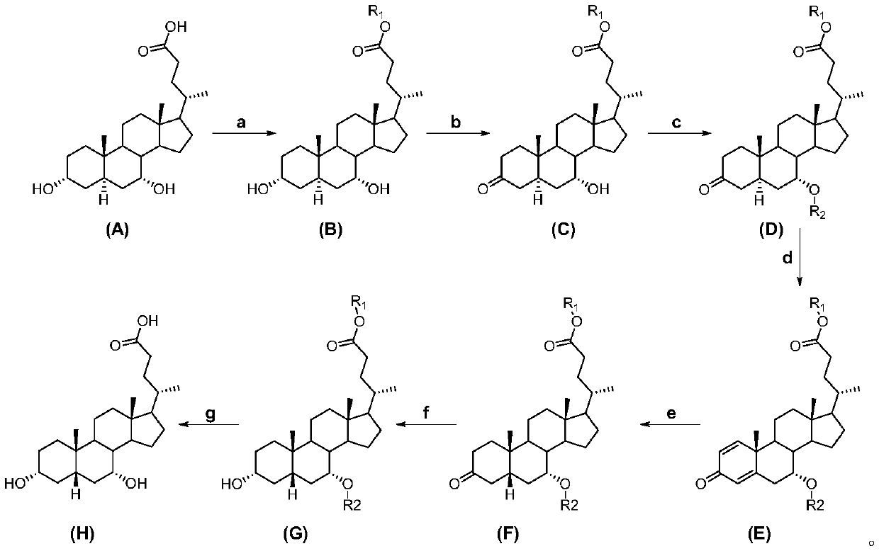 Chenodeoxycholic acid and preparation method thereof