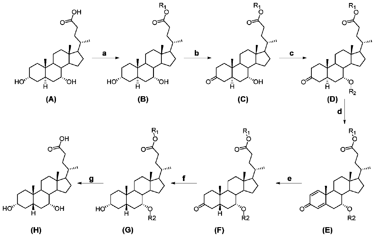 Chenodeoxycholic acid and preparation method thereof