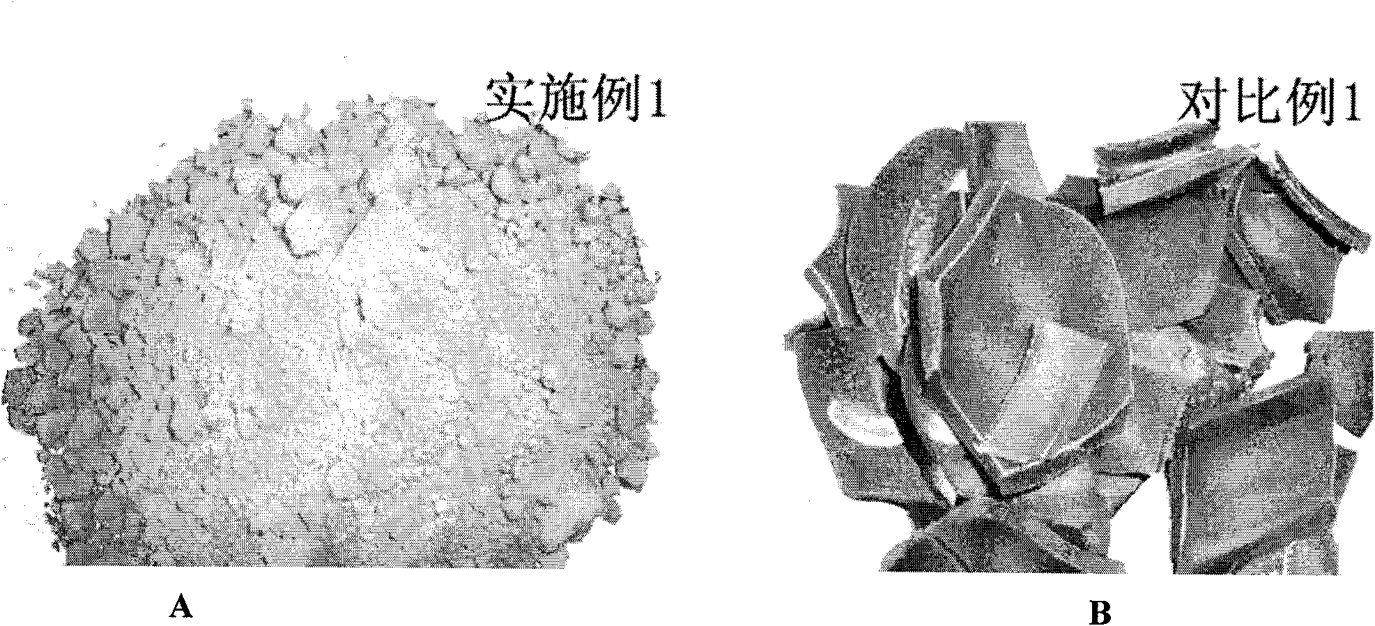 Method for preparing easily mixed high filling clay/rubber nano composite material