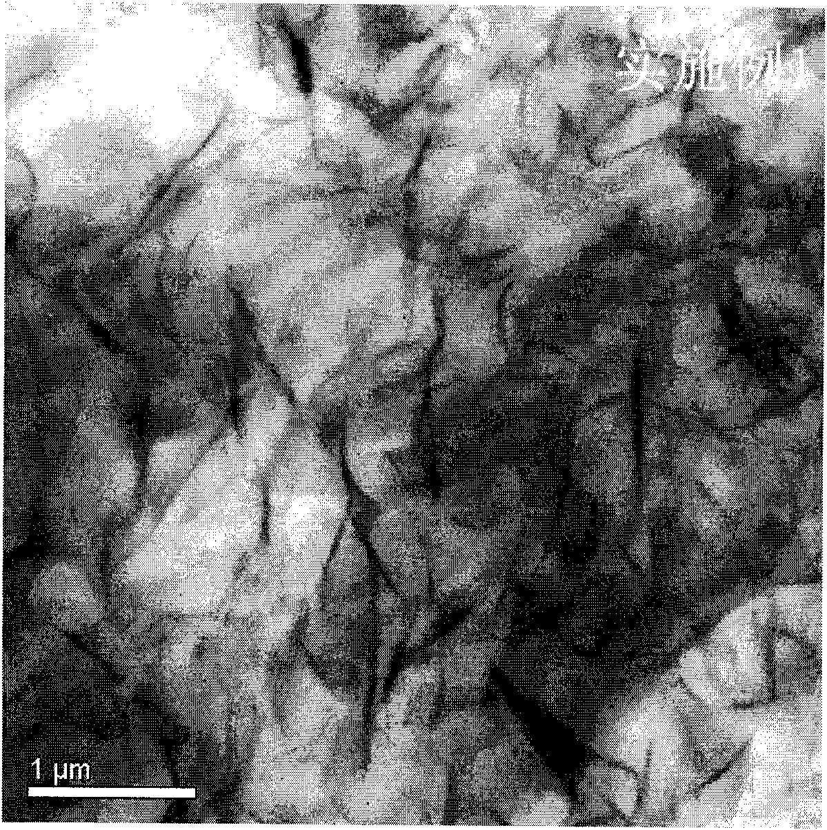 Method for preparing easily mixed high filling clay/rubber nano composite material