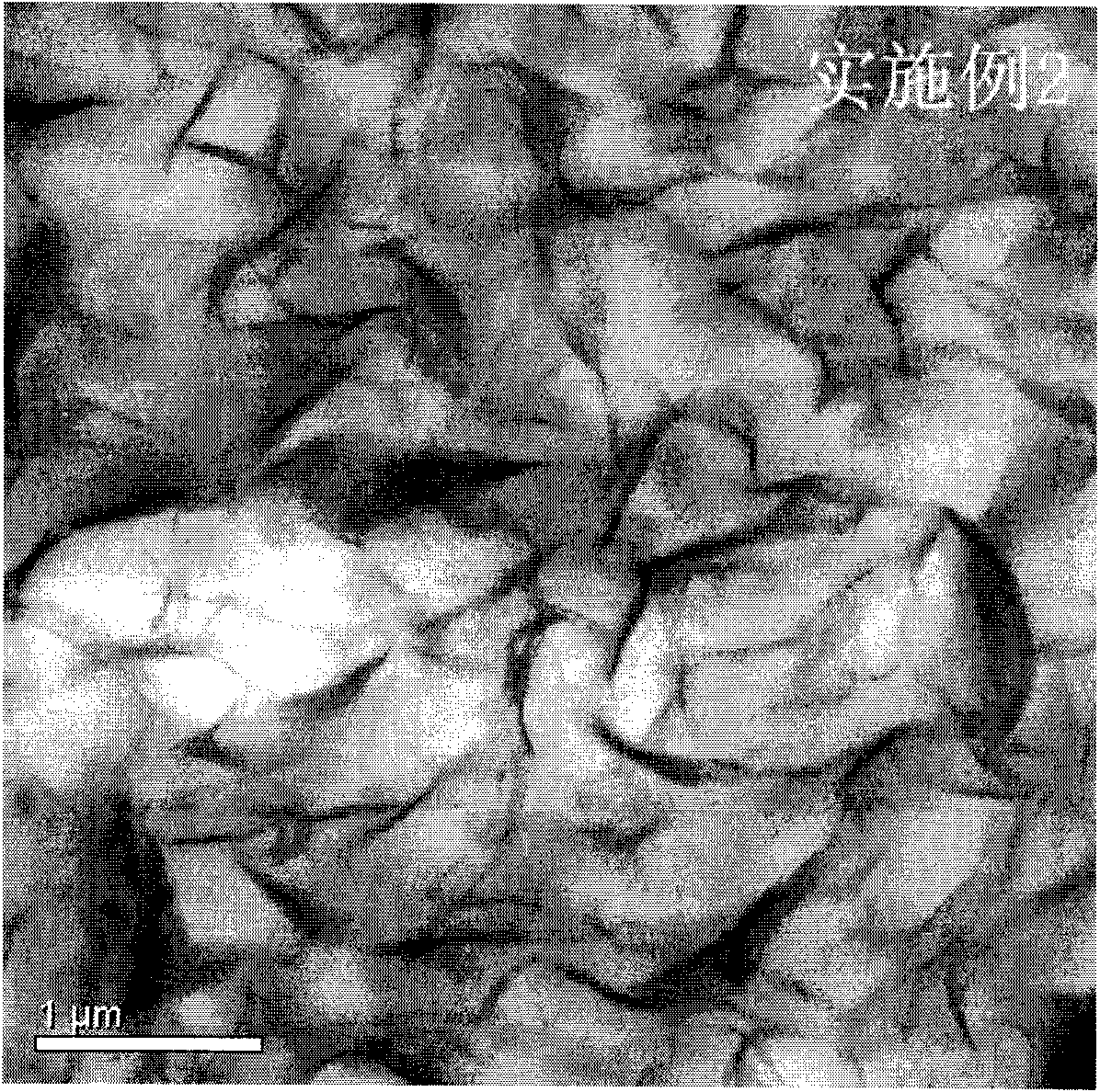 Method for preparing easily mixed high filling clay/rubber nano composite material