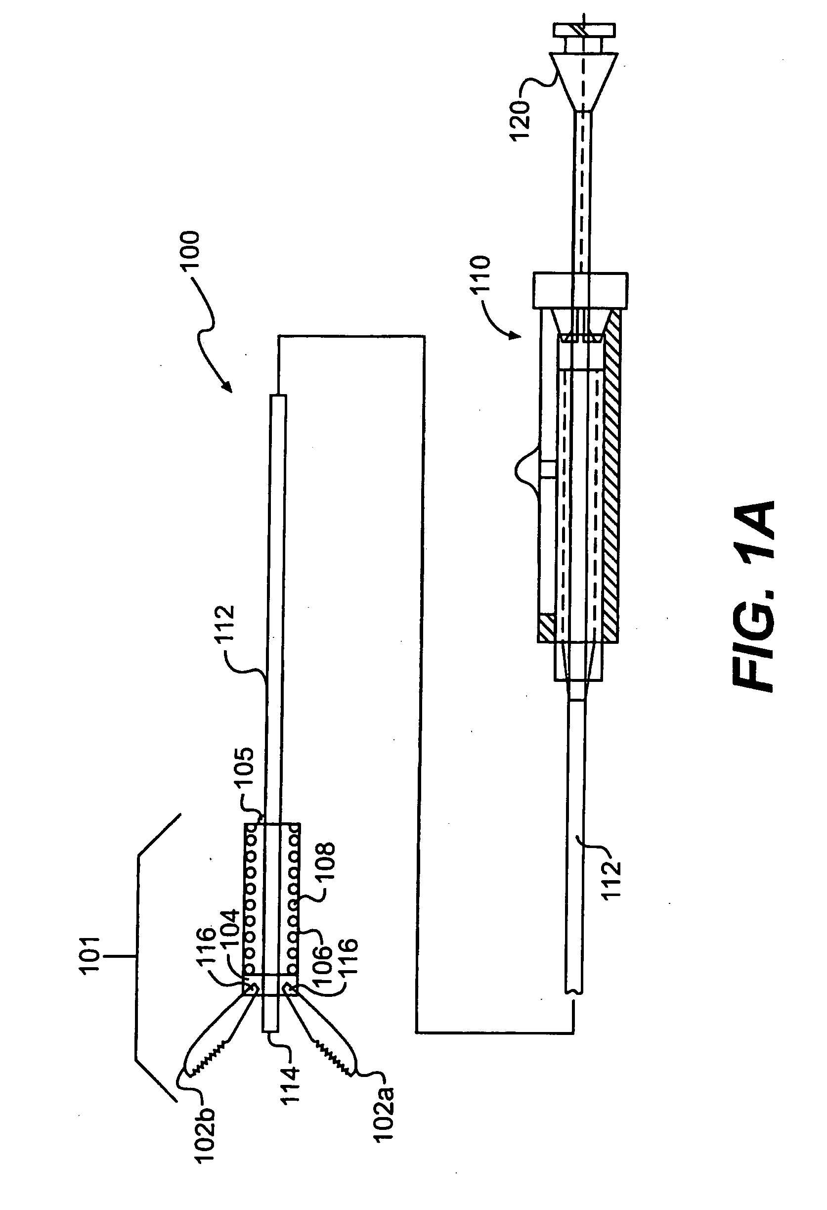 Endoscopic apparatus and method