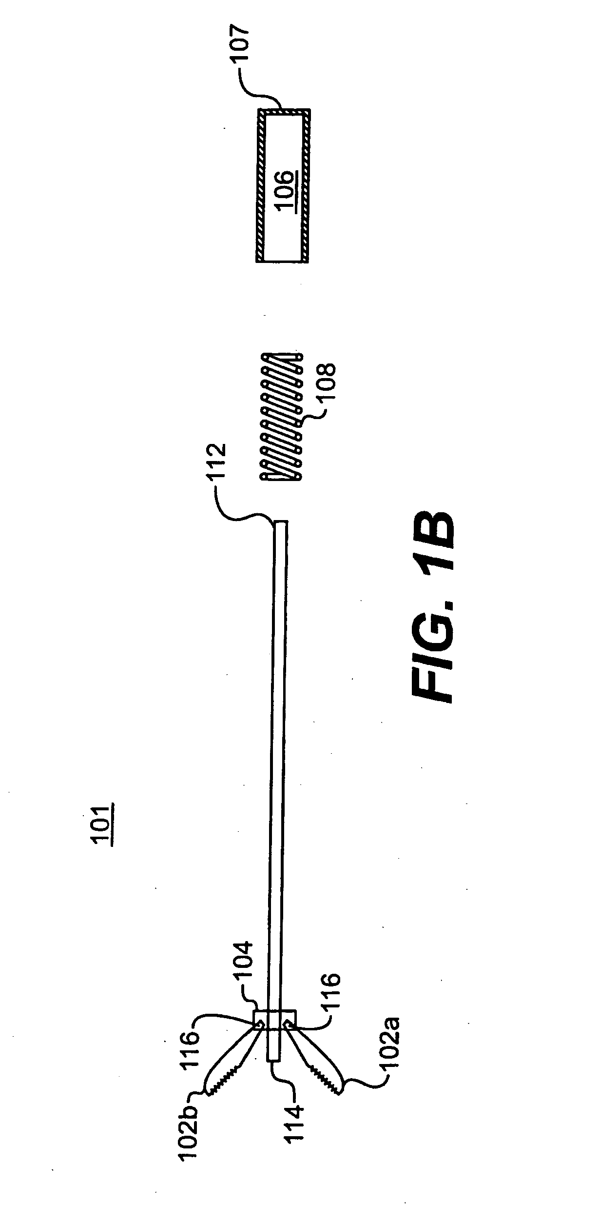 Endoscopic apparatus and method