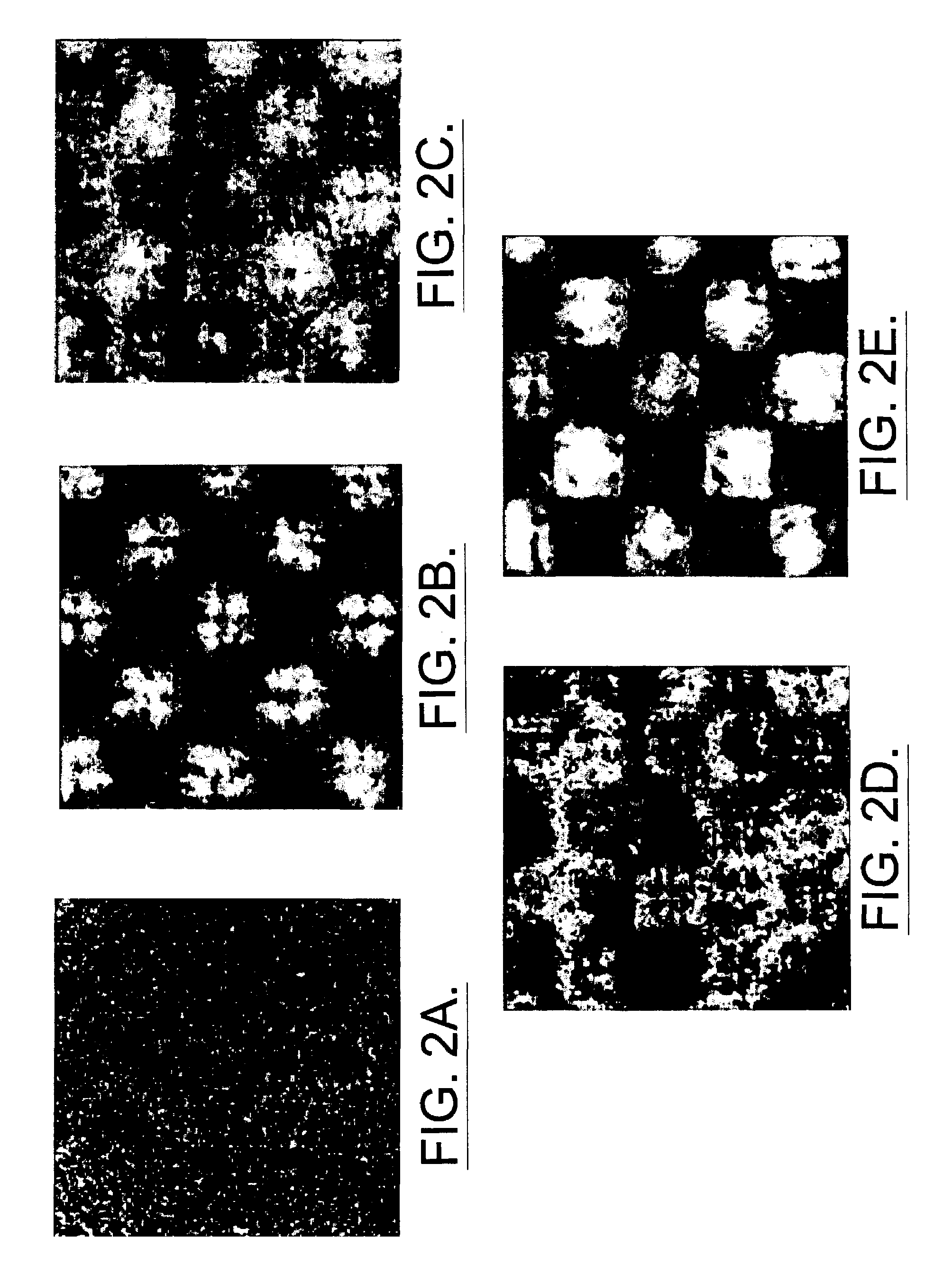 Digital interference holographic microscope and methods