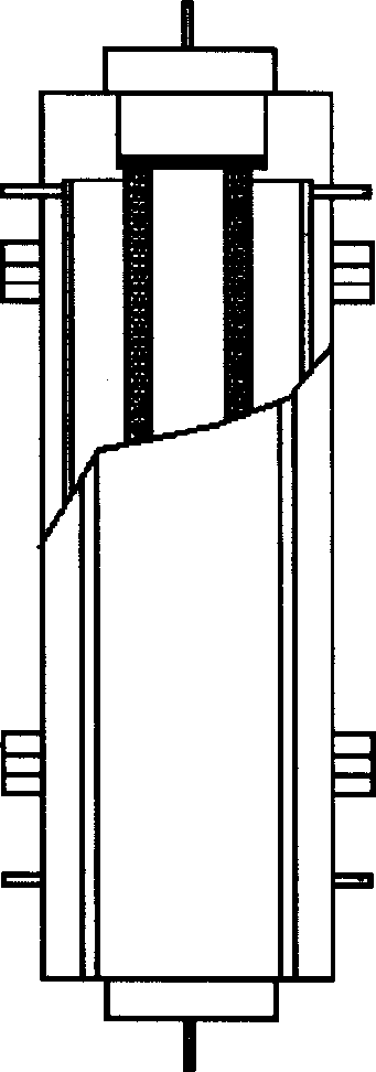 Size exclusion chromatography method for separating biomacromolecule of preparation type transverse electric field