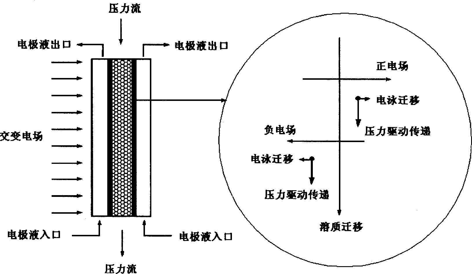 Size exclusion chromatography method for separating biomacromolecule of preparation type transverse electric field