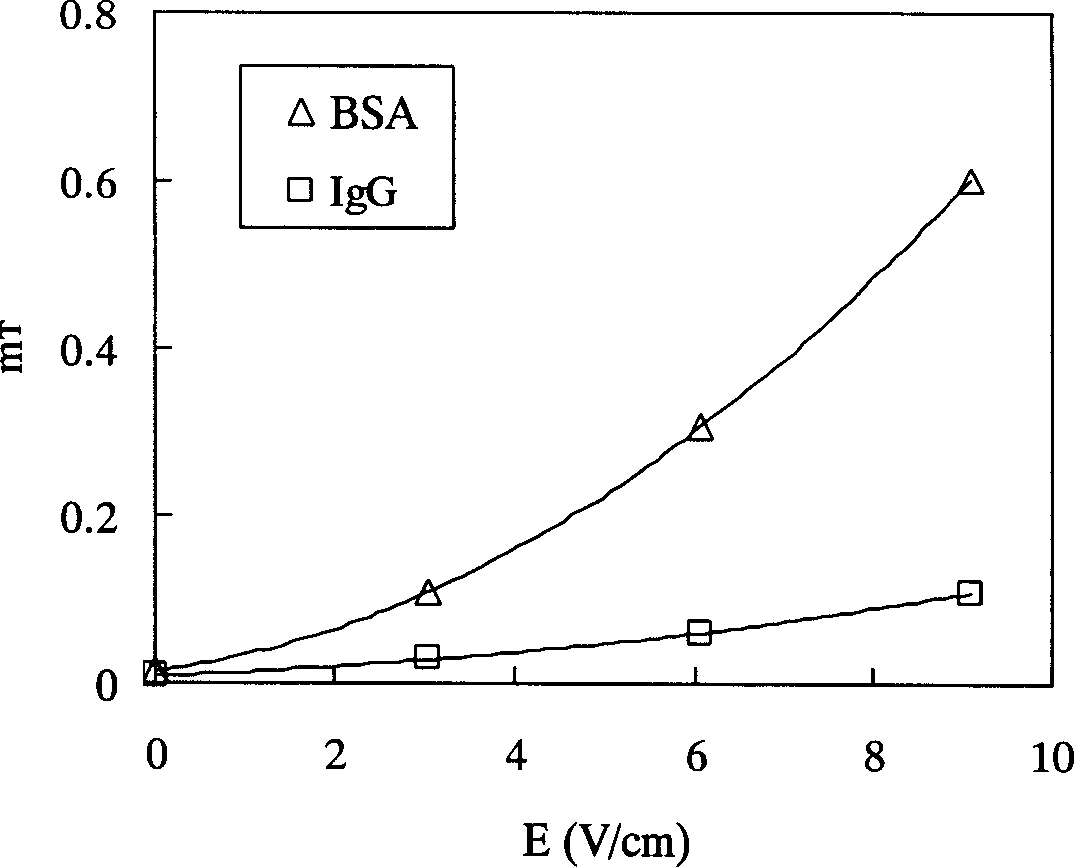 Size exclusion chromatography method for separating biomacromolecule of preparation type transverse electric field