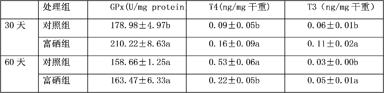 Breeding method capable of controlling aberration rate and body color abnormity of verasper variegatus seedlings