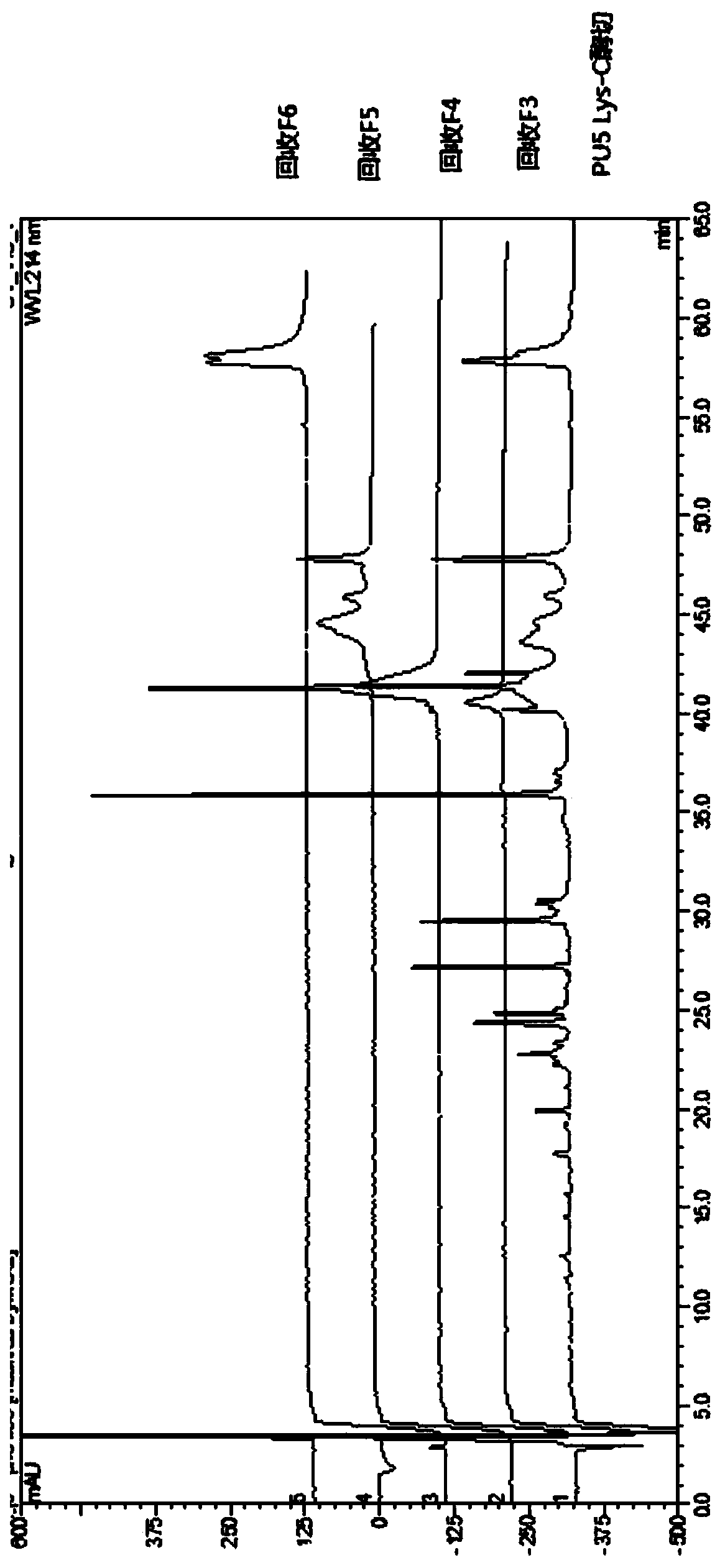 Analysis method for determining modification sites of multi-site PEG modified protein