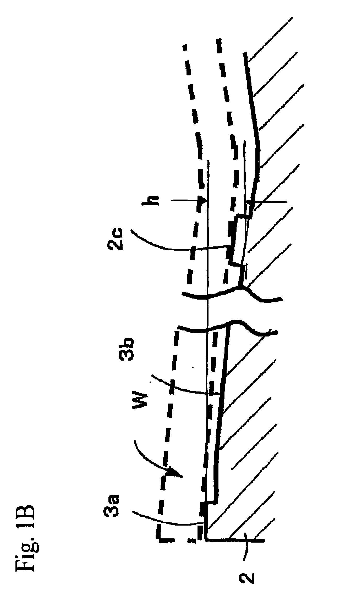 Electrostatic chuck and wafer holding member and wafer treatment method