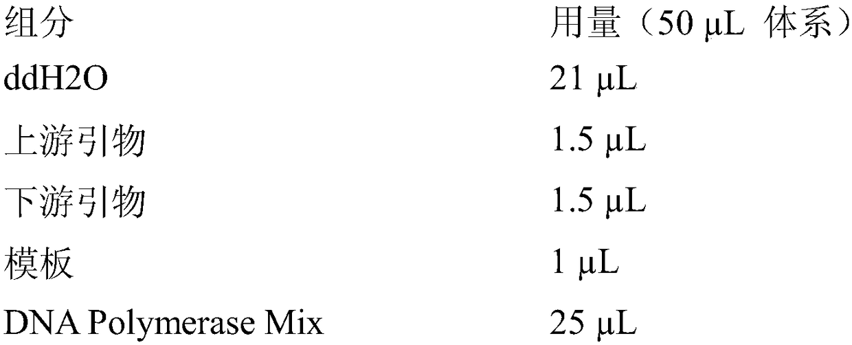 Alcohol dehydrogenase mutant and use thereof