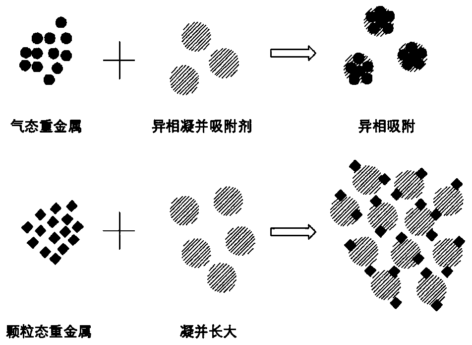 Heterogeneous coagulation adsorbent for heavy metal adsorption and its preparation method and application