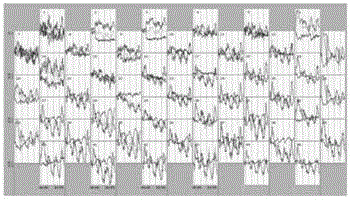 Near-infrared brain imaging spectrum classifying method based on cognition task testing