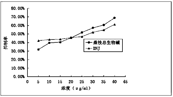 Active site of mulberry twig, as well as preparation method and application thereof