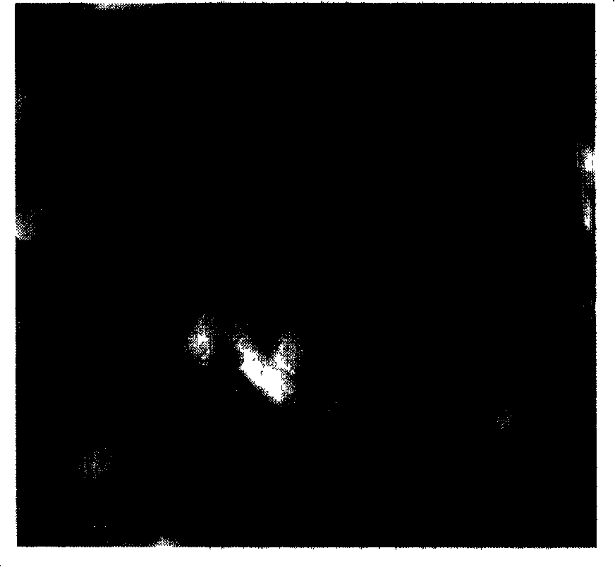 Synthesized silicon phosphor aluminum molecular sieve SAPO-34 and method of producing the same