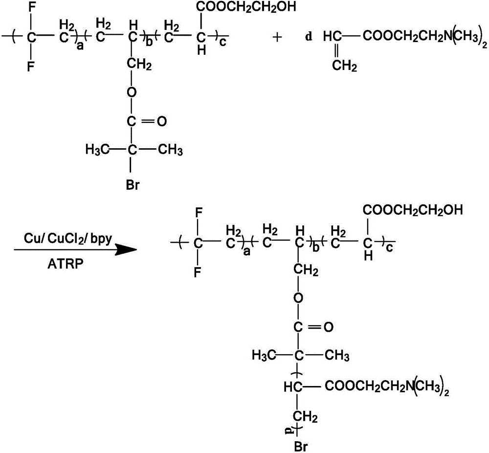 Nonionic functional fluorine-containing polymer and preparation method thereof