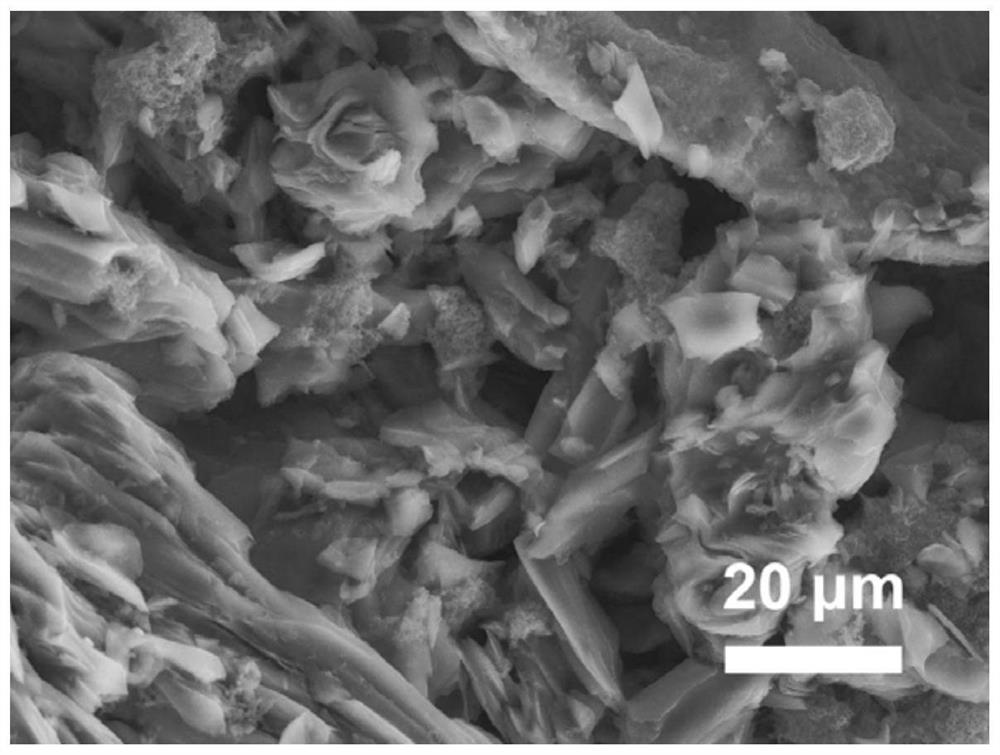 Preparation method and application of amorphous carbon-based composite negative electrode material containing metalloid lithium