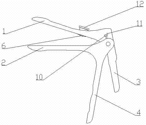 Vagina expanding device for gynecological examination