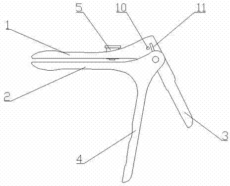 Vagina expanding device for gynecological examination