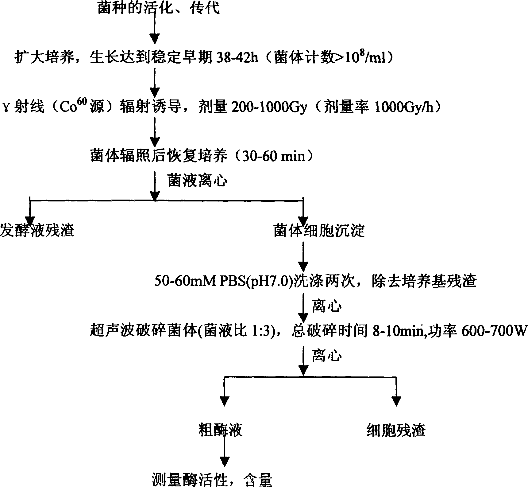 Method for increasing yield of superoxide dismutase of radioresistant coccus by radiation induction