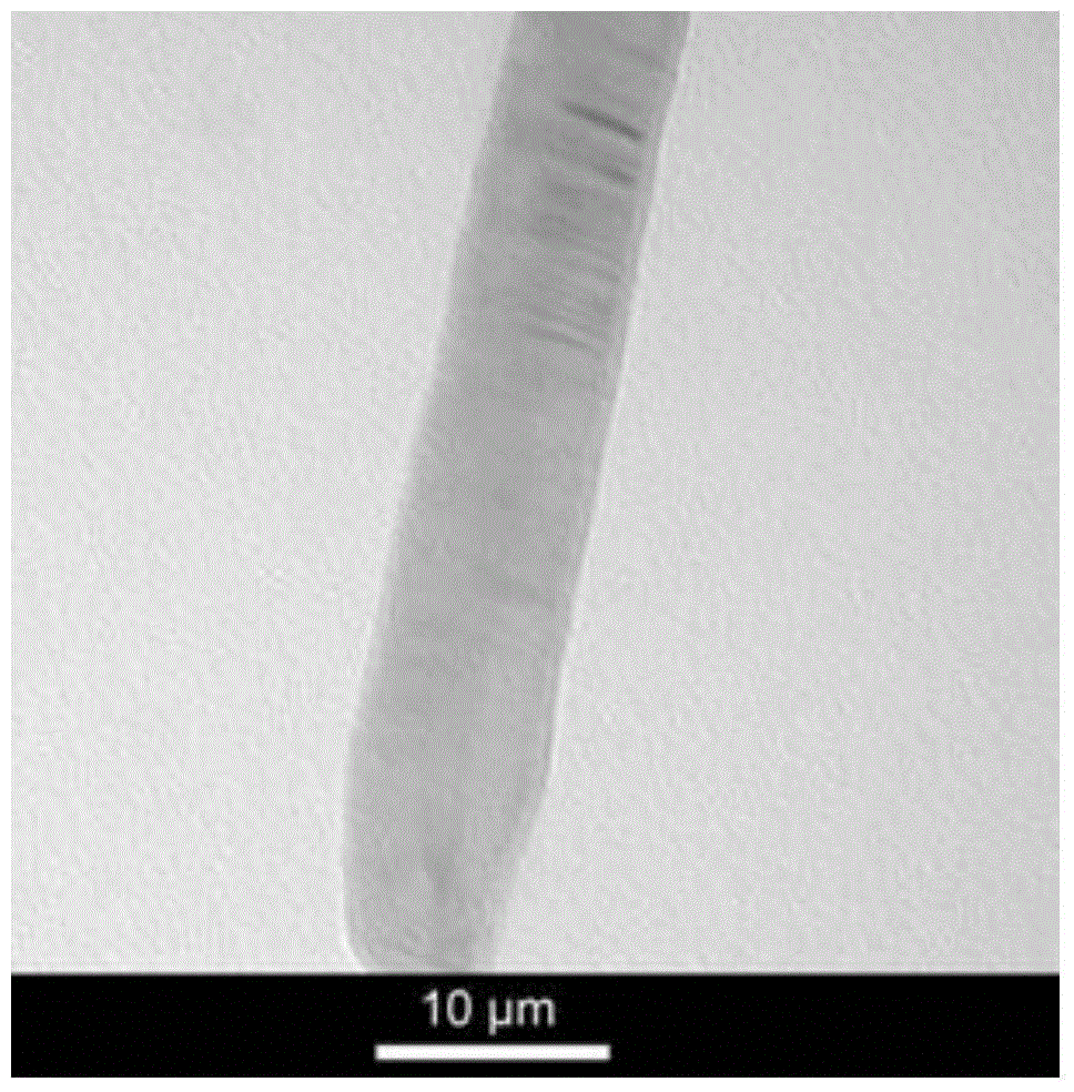 A kind of preparation method of sic micron wire modified gypsum