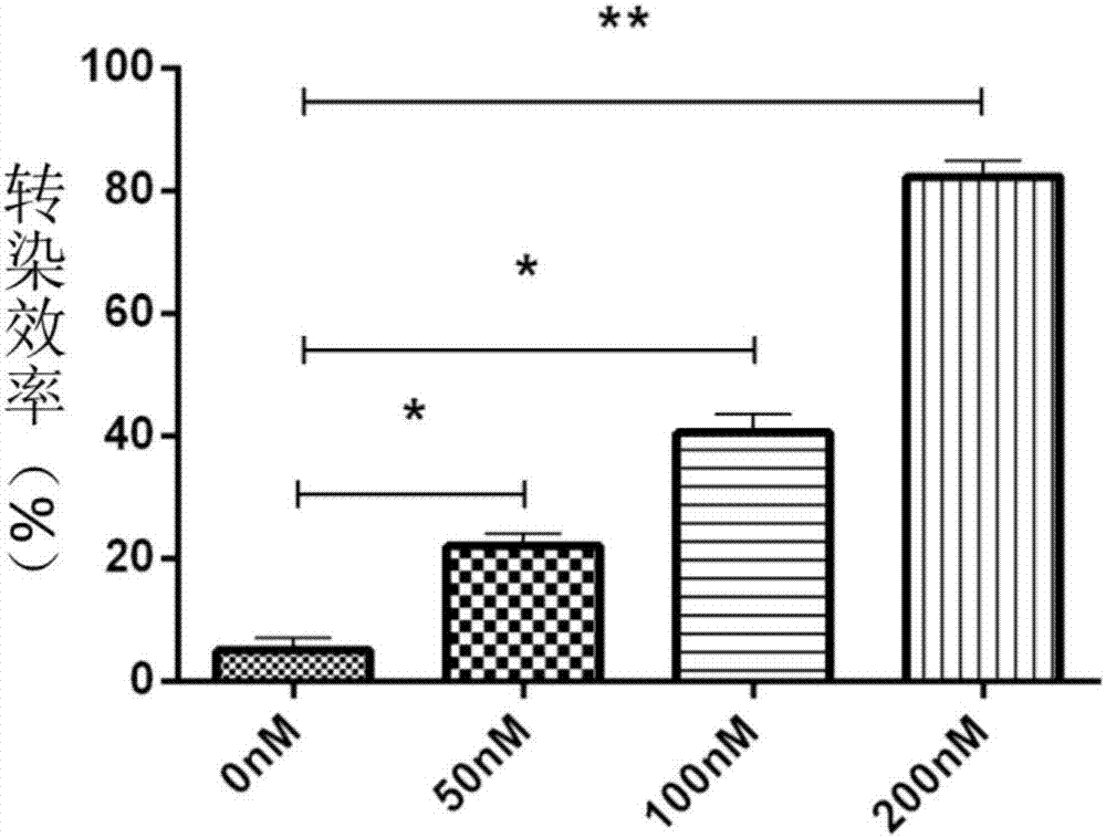 Applications of miR125b-5p in preparing drugs used for preventing endothelial cell damages