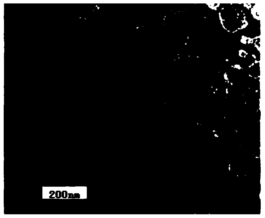 Traditional Chinese medicine composition with bacteriostatic, anti-inflammatory, hemostatic and analgesic effects and preparation method thereof