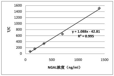 Anti-human ngal antibody and its application in detection test paper card