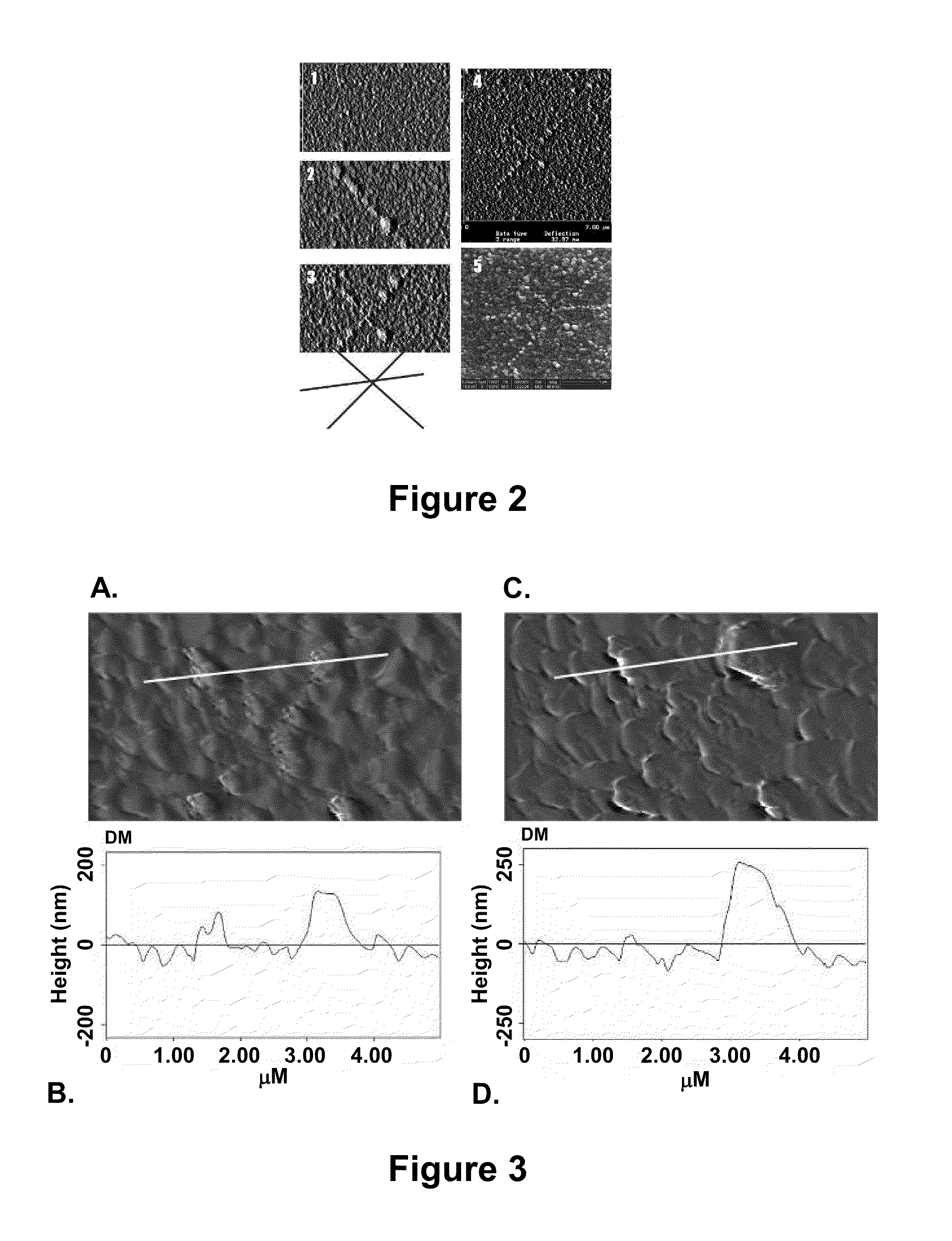 Direct nanoscale patterning of metals using polymer electrolytes