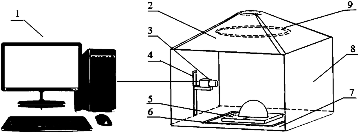 Measurement method and device of specific volume of steamed bread