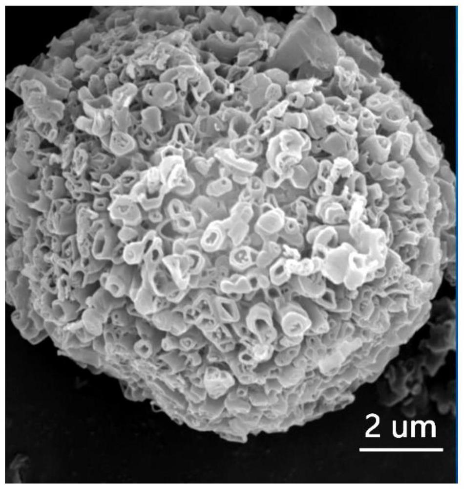 Method for preparing porous boric acid with coral structure