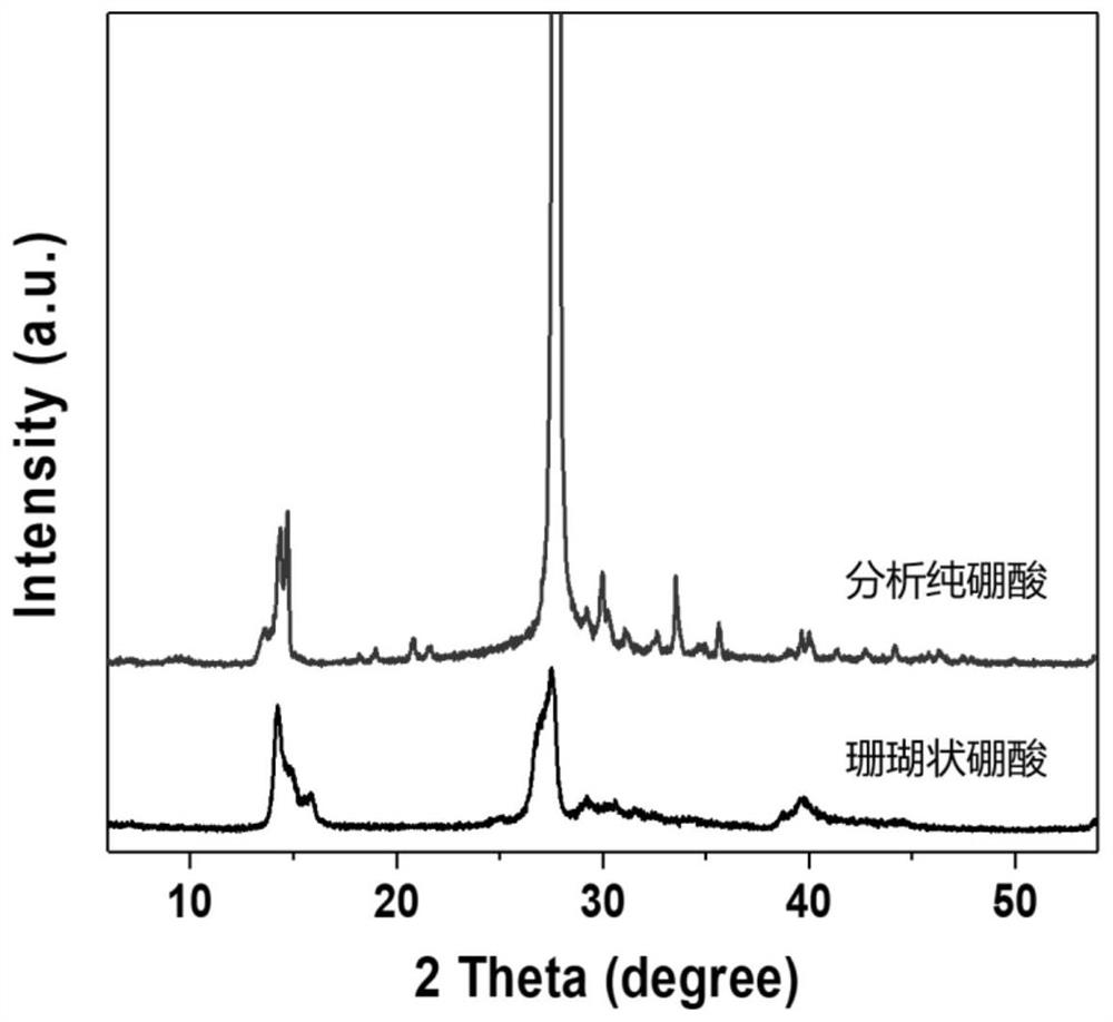 Method for preparing porous boric acid with coral structure