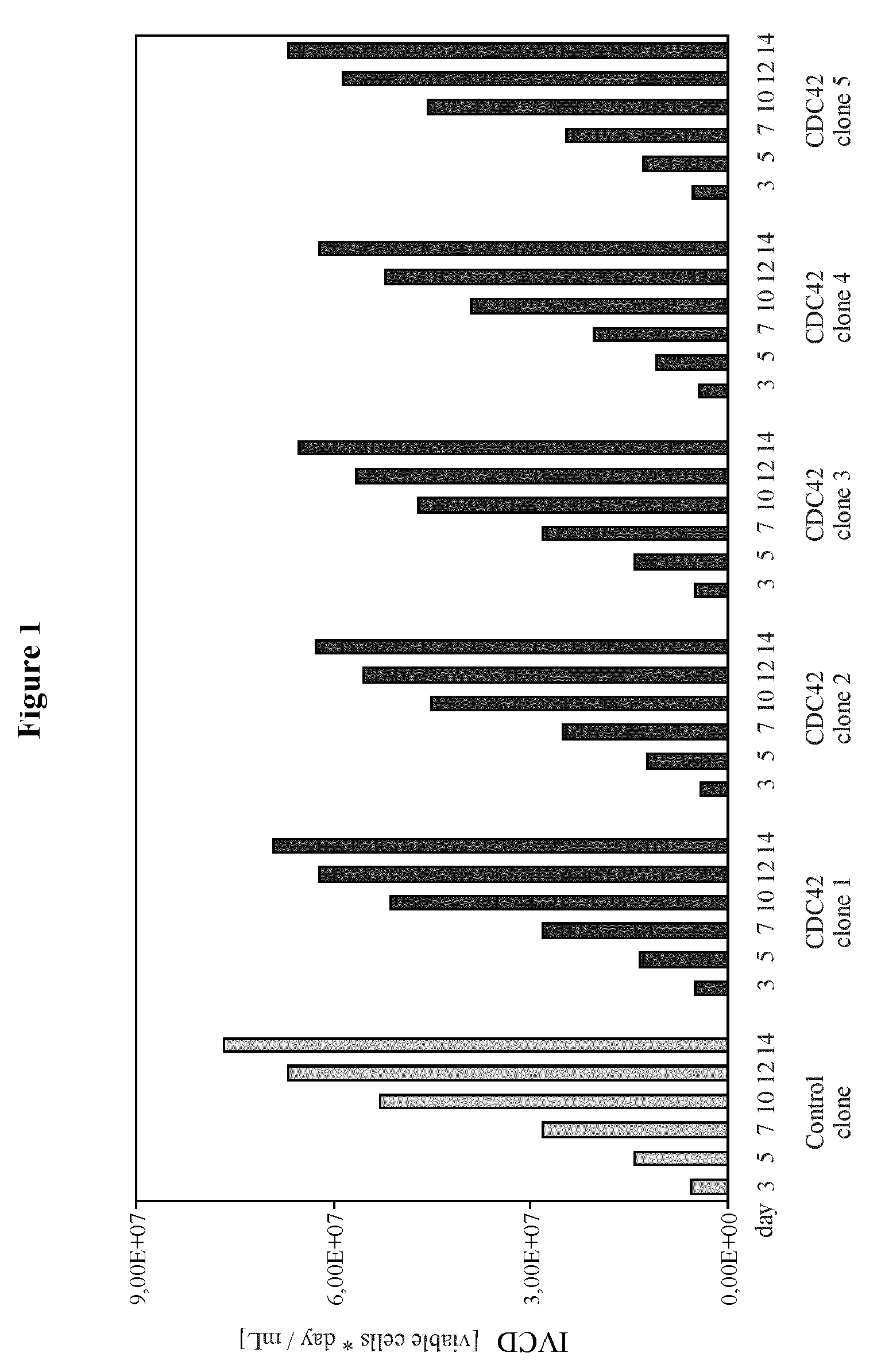 Enhancement of protein production yield mediated by a fast shuttling CDC42 GTPase