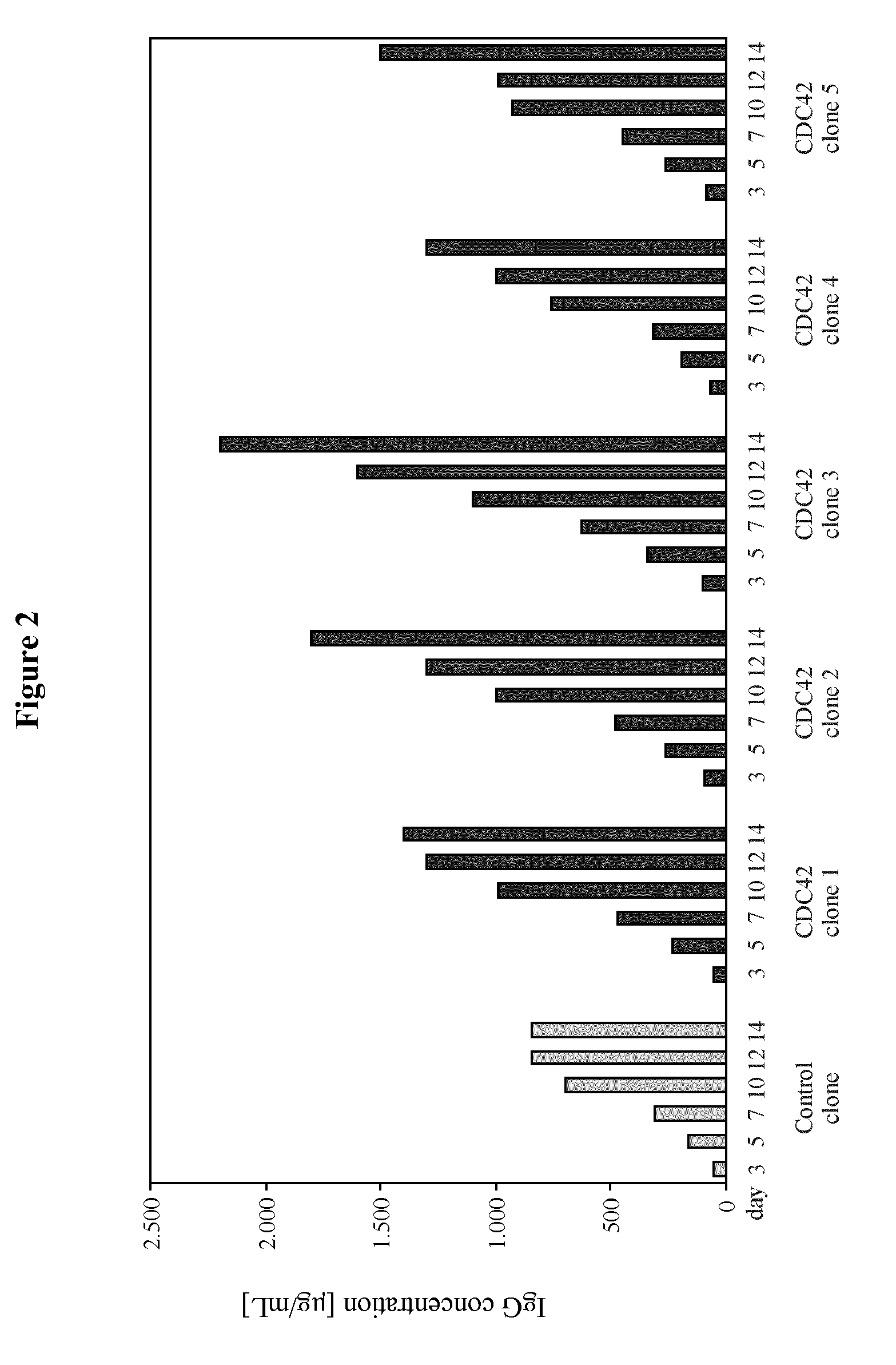 Enhancement of protein production yield mediated by a fast shuttling CDC42 GTPase