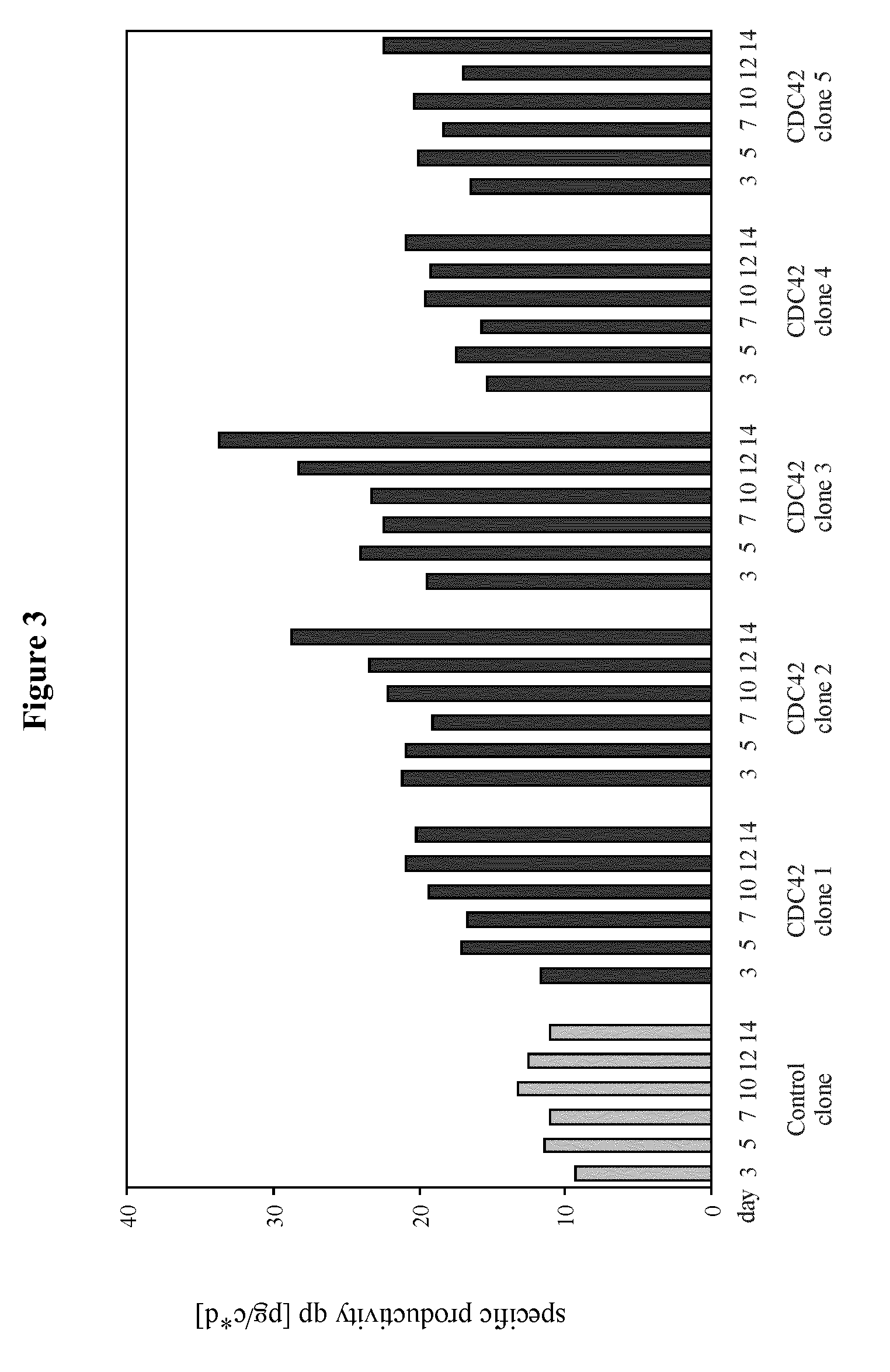 Enhancement of protein production yield mediated by a fast shuttling CDC42 GTPase