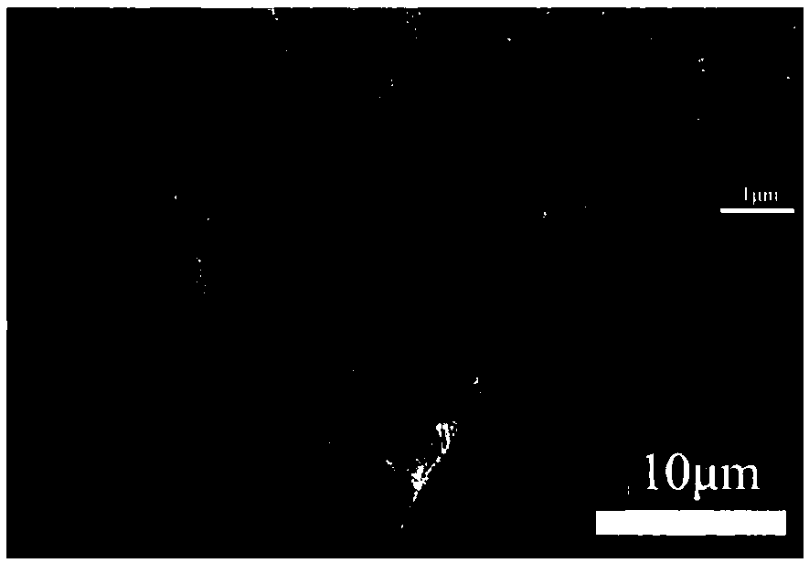 Barium titanate/cobaltosic oxide complex-phase millimeter wave absorbing powder having multi-stage microstructure distribution and preparation method