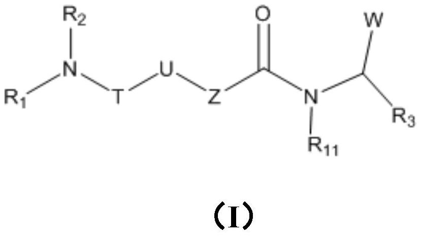 C-Myc protein inhibitor as well as preparation method and application thereof