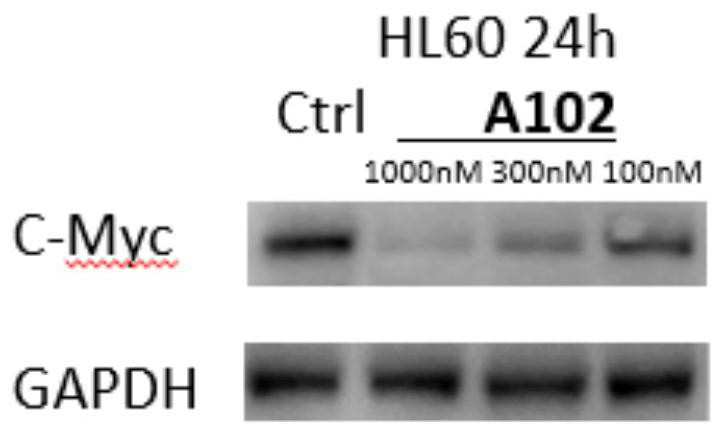 C-Myc protein inhibitor as well as preparation method and application thereof