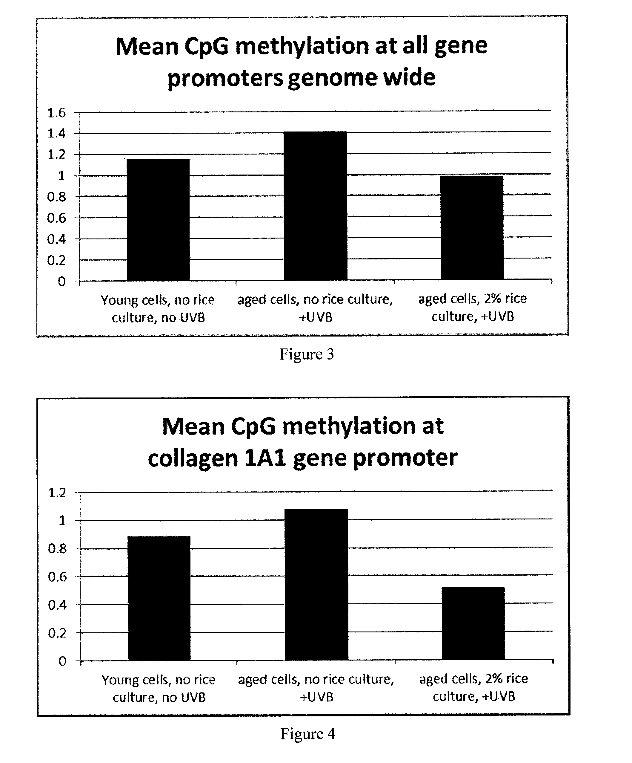 Modulating epigenetic DNA methylation to cause cells to adopt DNA methylation patterns associated with young cells