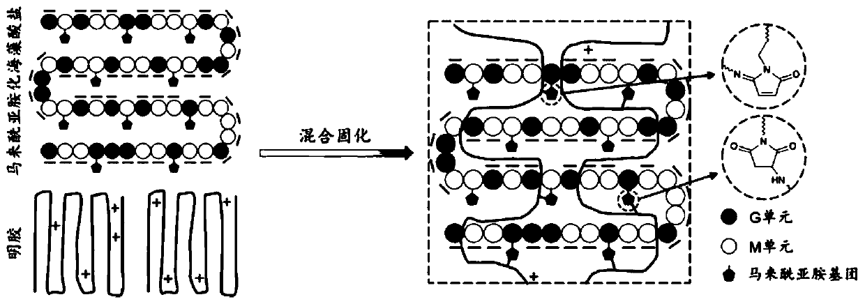 Hydrogel, and preparation method and application thereof