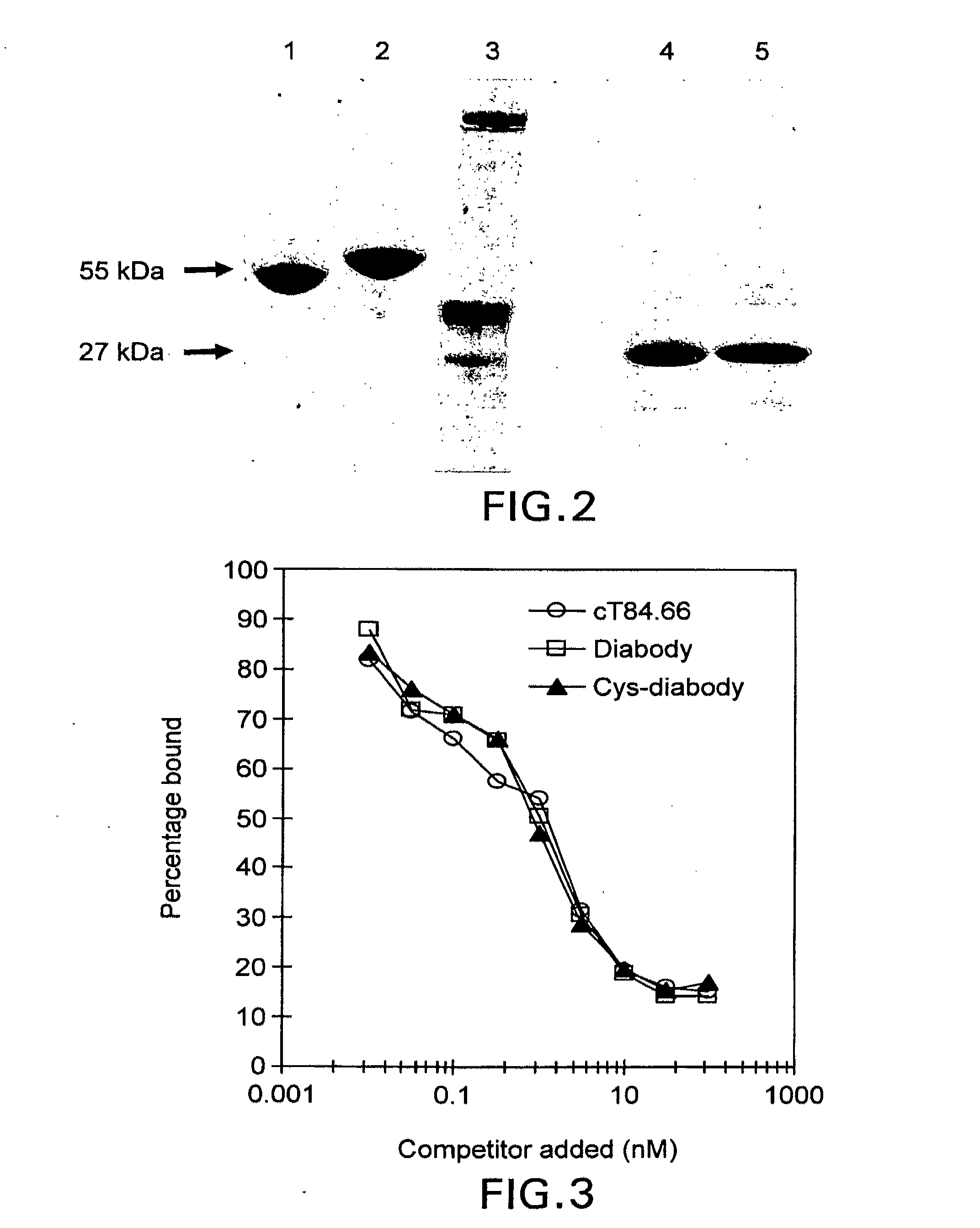 Covalent disulfide-linked diabodies and uses thereof