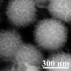 Sea urchin-shaped aluminum oxyhydroxide ball and preparation method thereof