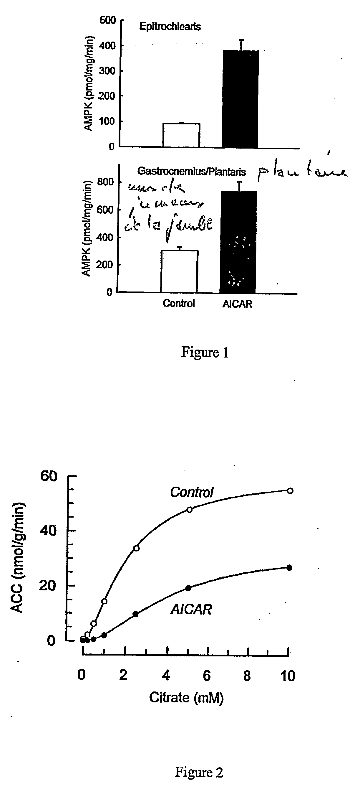 Use of amp kinase activators for treatment type 2 diabetes and insulin resistance